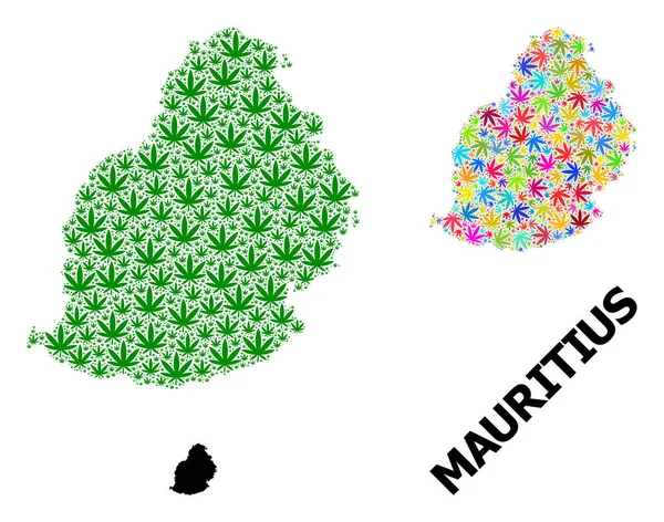 Vektormosaik-Karte der Insel Mauritius mit farbigen und grünen Cannabisblättern und solider Karte — Stockvektor