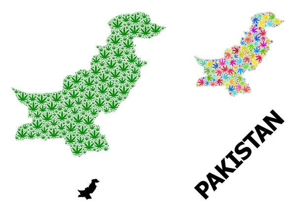 Mapa de colagem vetorial do Paquistão de folhas de cânhamo coloridas e verdes e mapa sólido — Vetor de Stock