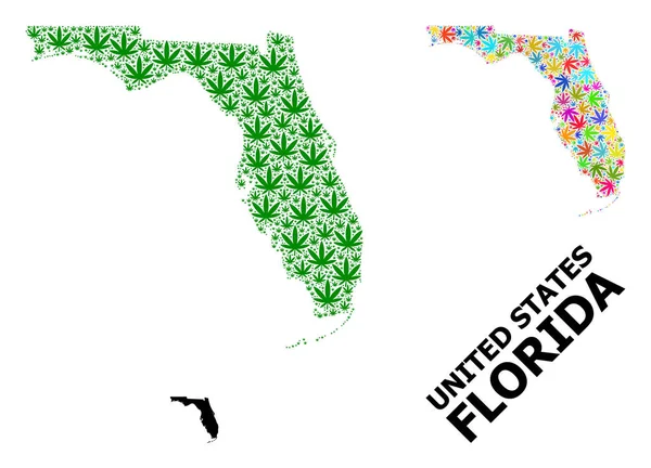 Vector Collage Map of Florida State of Colored and Green Weed Leaves and Solid Map — 스톡 벡터