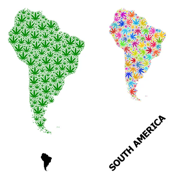 Wektor Collage Mapa Ameryki Południowej Kolorowe i zielone liście marihuany i Solid Map — Wektor stockowy