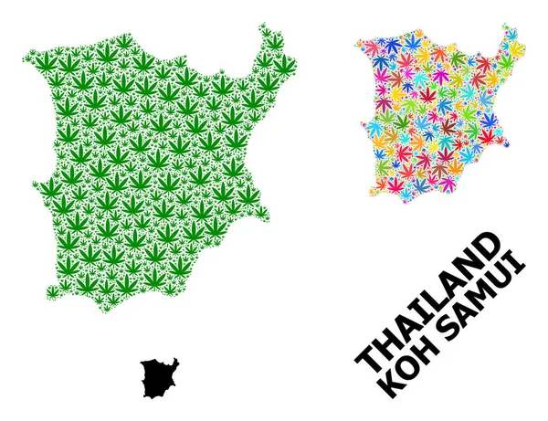 Wektor Collage Mapa Koh Samui z kolorowych i zielonych liści marihuany i Solid Map — Wektor stockowy