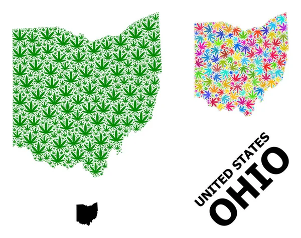 Mapa de Colagem de Vetores do Estado de Ohio de folhas de ervas daninhas brilhantes e verdes e Mapa Sólido — Vetor de Stock