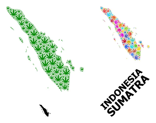 Vektorová koláž Mapa Sumatry Ostrov jasných a zelených konopných listů a pevná mapa — Stockový vektor