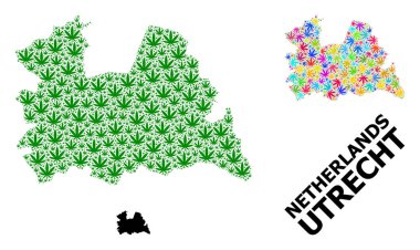 Parlak ve Yeşil Marihuana Yaprakları Utrecht Eyaleti Vektör Kolajı Haritası
