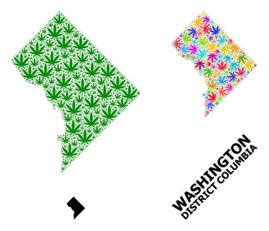 Parlak ve Yeşil Kenevir Yaprakları Bölge Kolombiyası Vektör Mozaik Haritası