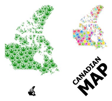 Kanada 'nın Renkli ve Yeşil Ot Yaprakları ve Katı Haritası Vektör Mozaik Haritası