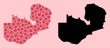 Viral Parçacıkların ve Solid Haritanın Zambiya Vektörü Mozaik Haritası