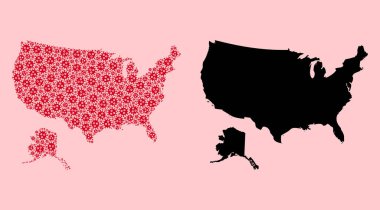 ABD ve Alaska 'nın Vektör Mozaik Haritası Salgın Parçacıkları ve Solid Haritası