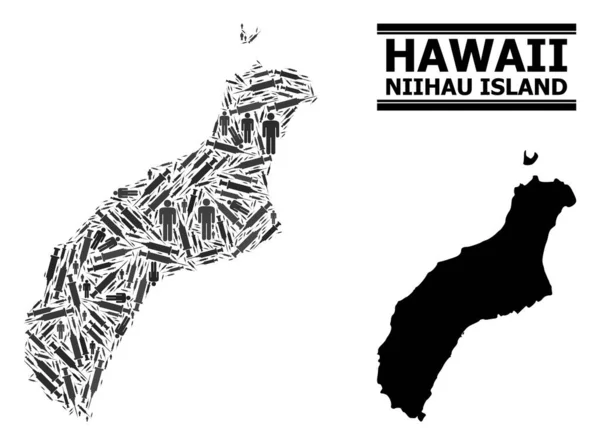 Terapia Virus Mosaico Mapa de la isla de Niihau — Vector de stock