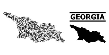 Gürcistan Aşılama Mozaik Haritası