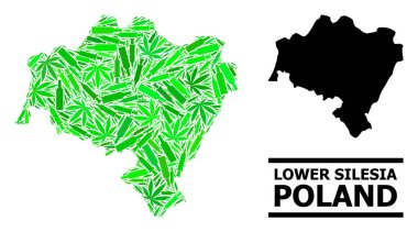 Aşağı Silezya Eyaletinin Uyuşturucu Mozaik Haritası