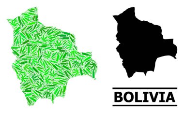 Bolivya 'nın Uyuşturucu Mozaik Haritası