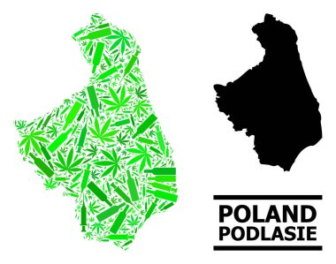 Podlasie Eyaleti Uyuşturucu Mozaik Haritası