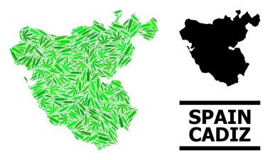 Cadiz Eyaleti Uyuşturucu Mozaik Haritası