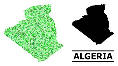 Bağımlılık Mozaik Cezayir Haritası