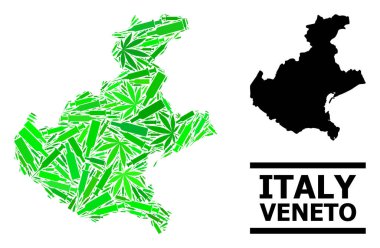 Uyuşturucu Mozaik Venedik Bölgesi Haritası
