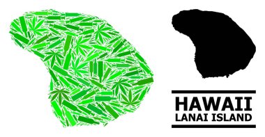 Lanai Adası Uyuşturucu Mozaik Haritası