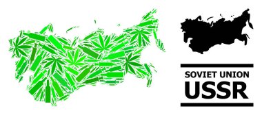 SSCB Uyuşturucu Mozaik Haritası