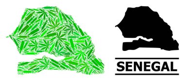 Senegal Bağımlılık Mozaik Haritası