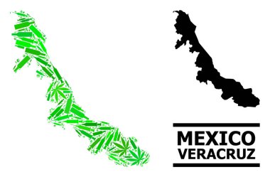 Veracruz Devleti Uyuşturucu Mozaik Haritası
