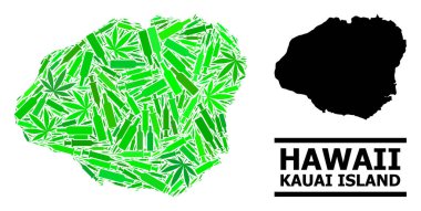 Kauai Adasının Bağımlılık Mozaik Haritası