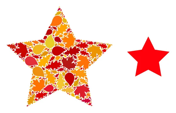 Star Autumn Σύνθεση εικονίδιο με φύλλα πτώση — Διανυσματικό Αρχείο