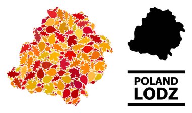 Güz Yaprakları - Lodz ilinin Mozaik Haritası