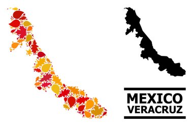 Sonbahar Yaprakları - Veracruz Eyaleti Mozaik Haritası