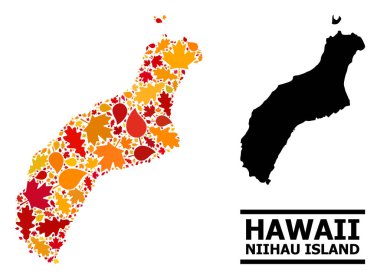 Sonbahar Yaprakları - Niihau Adası Mozaik Haritası
