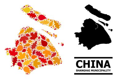 Sonbahar Yaprakları - Şangay Belediyesi Mozaik Haritası