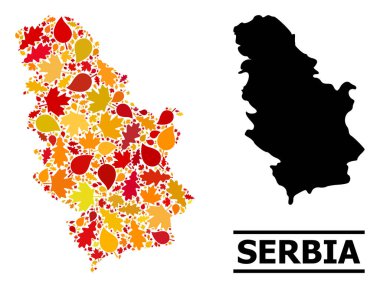 Sonbahar Yaprakları - Sırbistan Mozaik Haritası