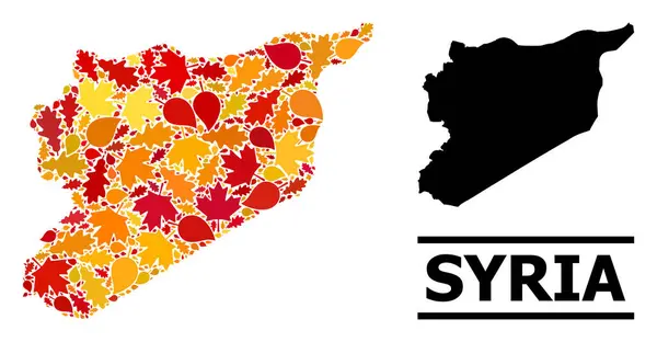 가을 잎 - 모세에 의 한 시리아 지도 — 스톡 벡터