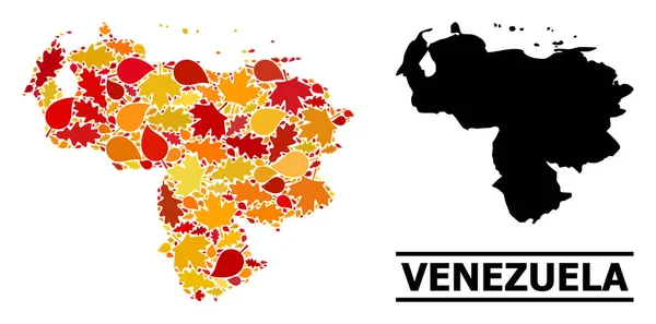 Podzimní listy - Mozaiková mapa Venezuely — Stockový vektor