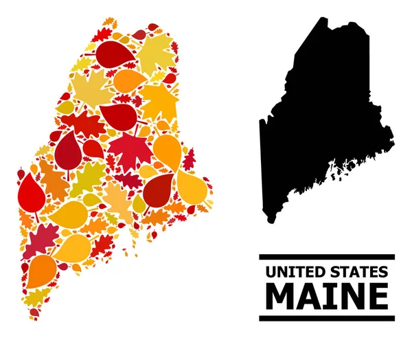 Herfstbladeren - Mozaïekkaart van Maine State — Stockvector