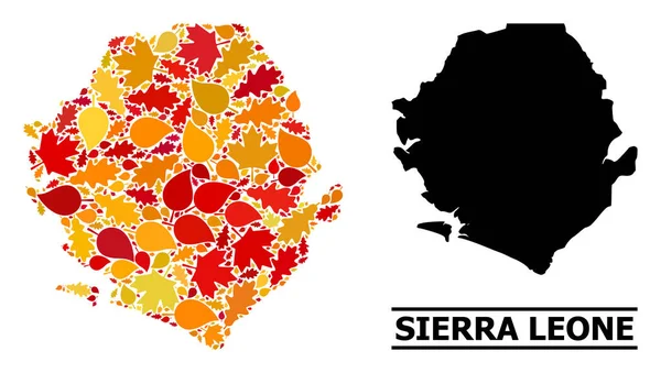 Hojas de otoño - Mapa mosaico de Sierra Leona — Vector de stock