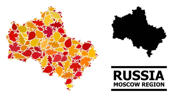 Hojas de otoño - Mapa mosaico de la región de Moscú — Vector de stock