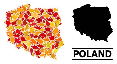 Sonbahar Yaprakları - Polonya Mozaik Haritası