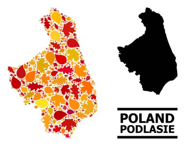 Güz Yaprakları - Podlasie Eyaletinin Mozaik Haritası