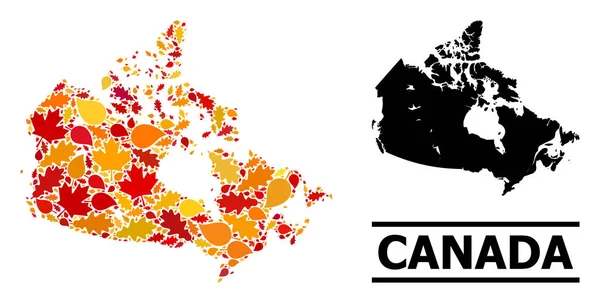 Foglie di autunno - Mappa Mosaico del Canada — Vettoriale Stock