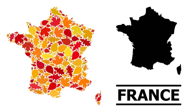 Sonbahar Yaprakları - Fransa Mozaik Haritası — Stok Vektör