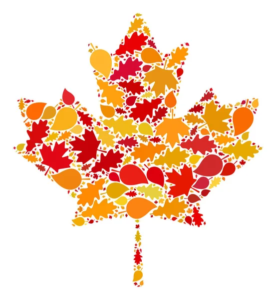 Maple Leaf Autumn Collage Icon with Fall Leaves — Stock Vector