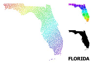 Florida Eyaletinin Vektör Spektral Piksel Haritası