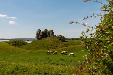 Irlanda, Rovine del Castello di Clonmacnoise, costruito nei pressi del fiume Shannon.
