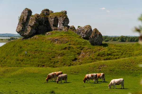 Irlanda, Rovine del Castello di Clonmacnoise, costruito nei pressi del fiume Shannon.