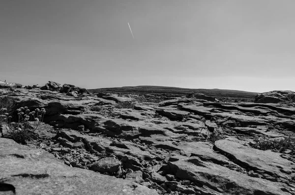 Irlanda Parco Nazionale Del Burren Boireann Paesaggi Lunari — Stockfoto