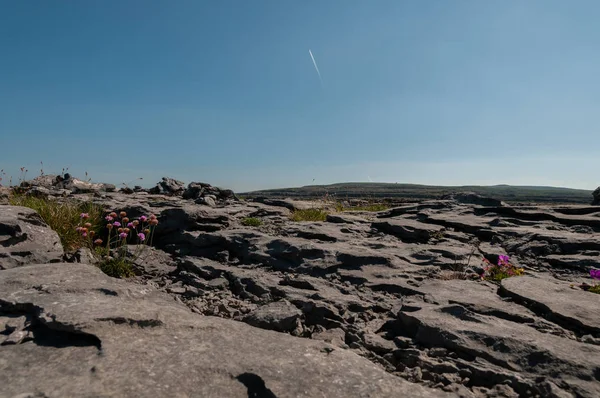 Irlanda Parco Nazionale Del Burren Boireann Paesaggi Lunari — Fotografia de Stock