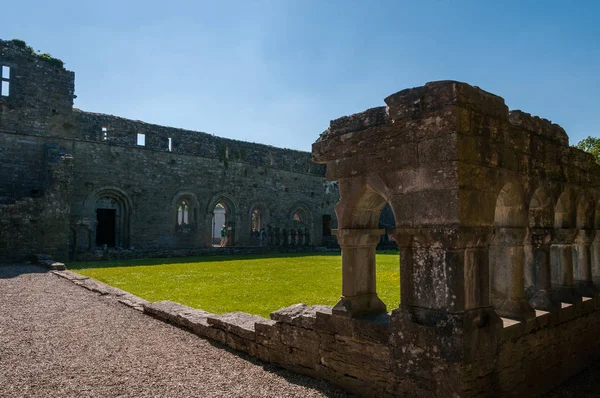 Irlanda Abbazia Agostiniana Cong Fondata All Inizio Del Xii Sec — Stock Photo, Image