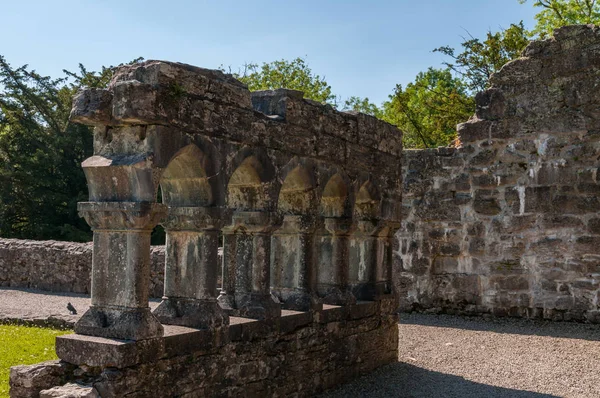 Irlanda Abbazia Agostiniana Cong Fondata All Inizio Del Xii Sec — Stock Photo, Image