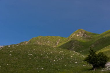 Molise, Mainarde. La catena montuosa delle Mainarde si estende lungo il confine tra Molise e Lazio, con prevalenza nel territorio molisano. Bir bariyer, doğal bir molto rocciosa e dall 'aspetto as pro e selvaggio.