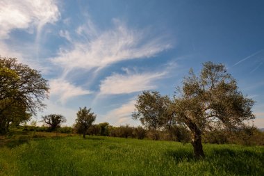 Campania Felix, panorama primaverile 